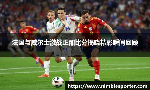 法国与威尔士激战正酣比分揭晓精彩瞬间回顾